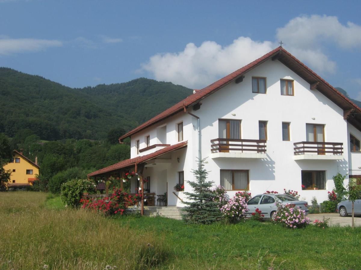 Гостевой дом Casa cu Păuni Бран-4